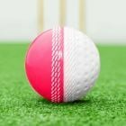 FORTRESS Reverse Swing Cricket Balls [Pink & White] - Pack of 1